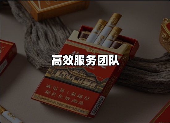 专业优势